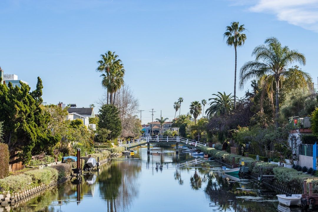 A calm canal lined with palm trees and houses under a clear blue sky