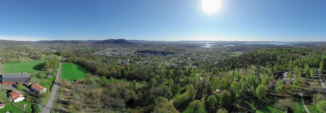 Panoramic view of a sunlit green landscape with trees, fields, and a distant city skyline under a bright sky
