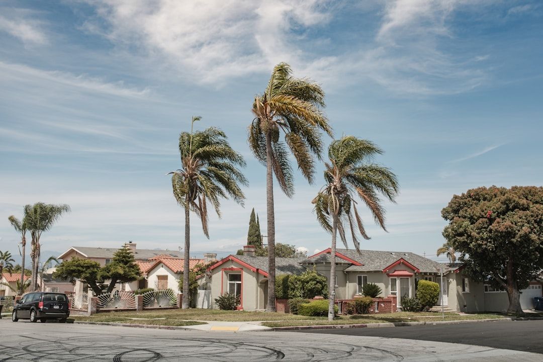 Windy suburban street with tall palm trees and houses under a blue sky