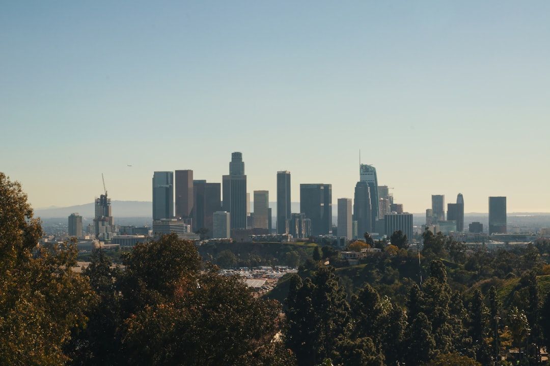 City skyline under a clear sky, viewed past dark trees in the foreground.