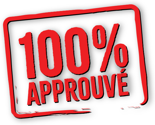 100% approuvé et inspecté