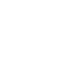 Brakes and ABS Icon