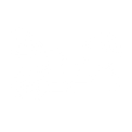 Emissions Testing  and Repair Icon