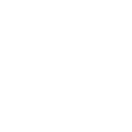 Timing Belts Icon
