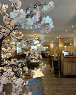 Gros plan sur des branches de cerisiers en fleurs rose pâle, avec l'intérieur flou d'un restaurant en arrière-plan.