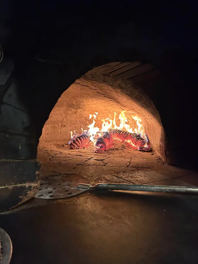 Flammes orange vif et braises incandescentes à l'intérieur d'un four à pizza rustique en pierre, voûté et chauffé au bois, la nuit.