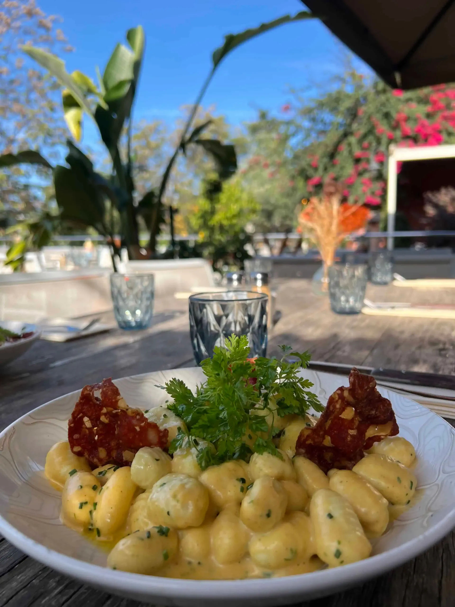 Une assiette de gnocchis à la sauce crémeuse et aux tomates séchées au soleil, servie sur une table de restaurant en terrasse, avec un jardin ensoleillé en arrière-plan.