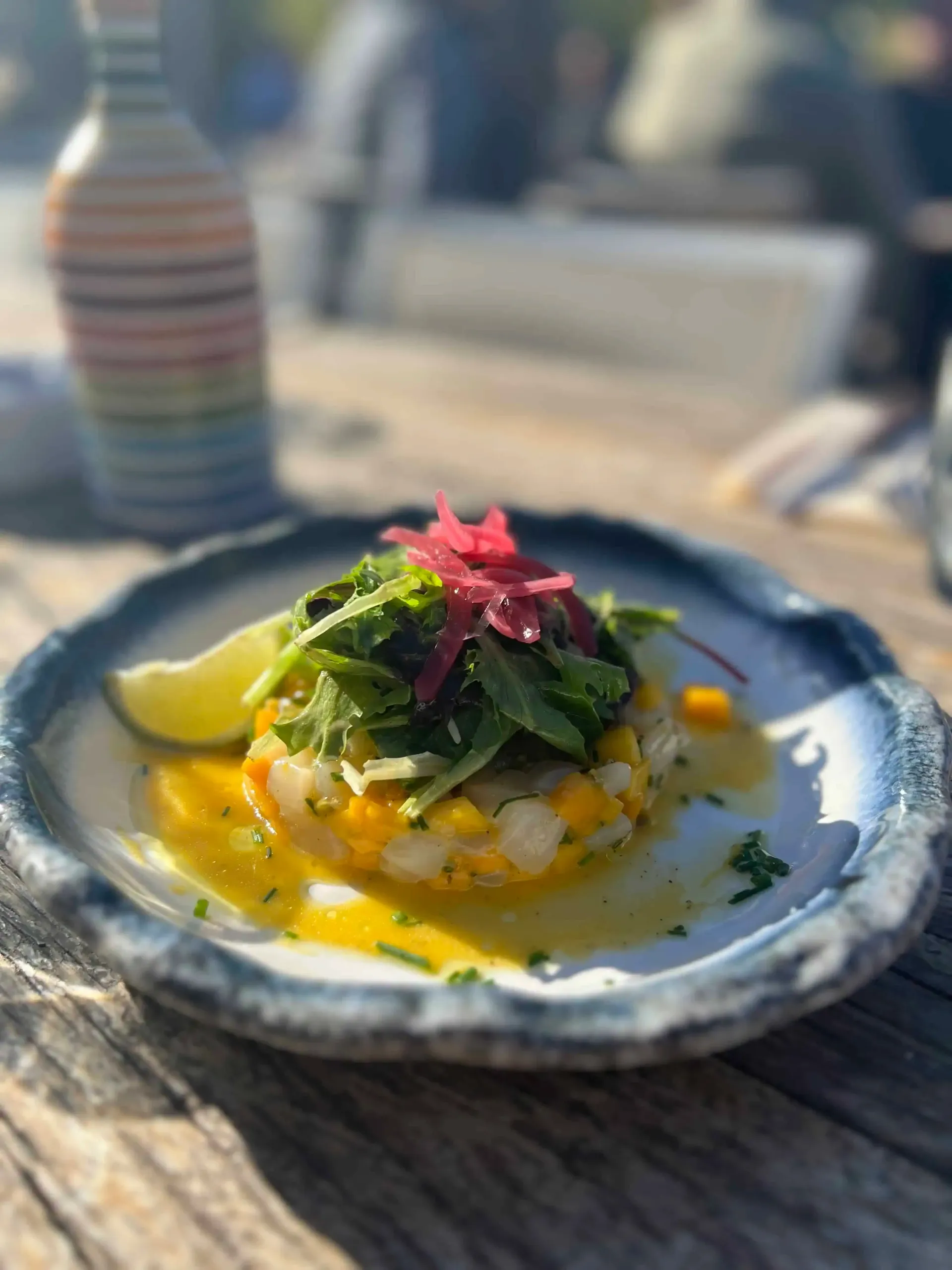 Une portion de ceviche de mangue garnie de verdure fraîche et d'oignons rouges marinés, servie sur une assiette à bord bleu à une table en terrasse.
