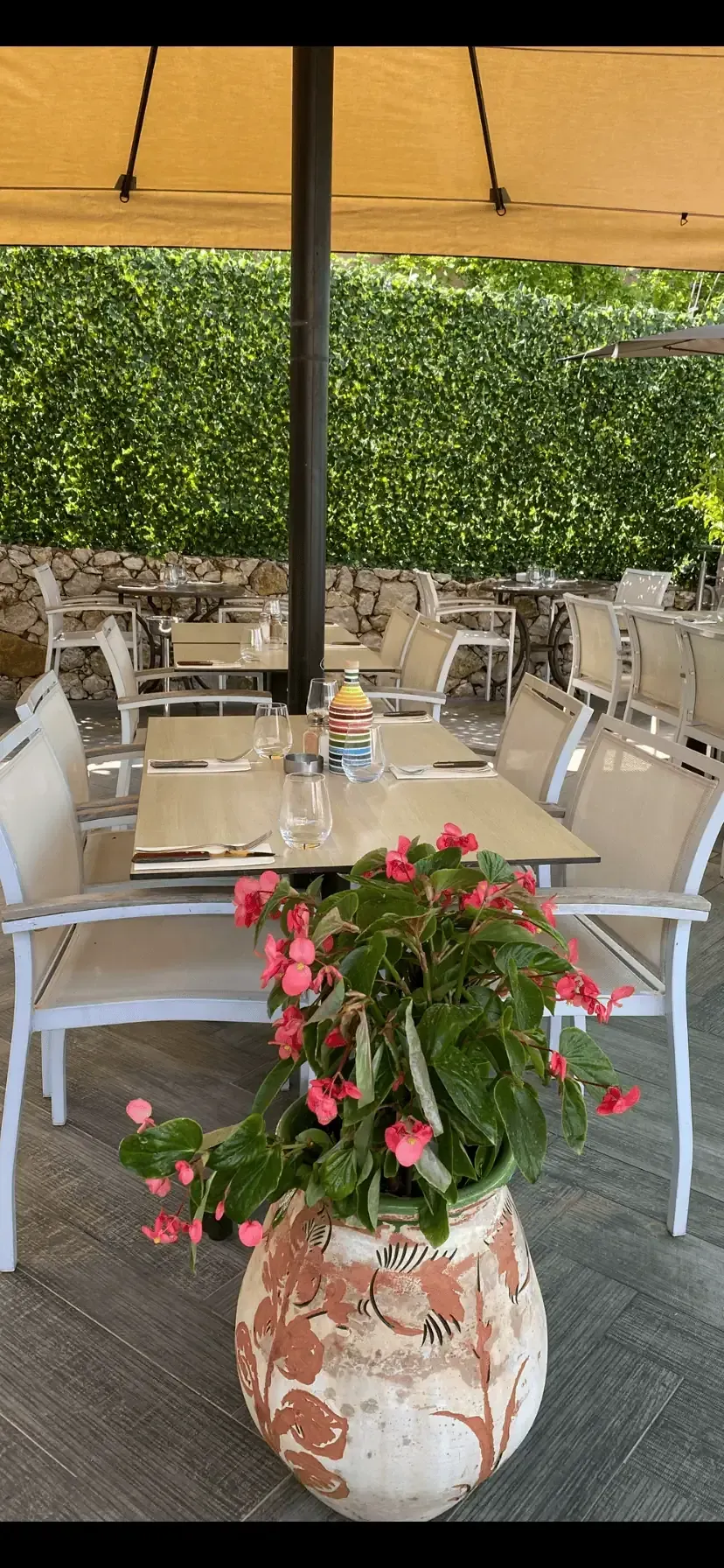 Une plante en pot à fleurs roses est placée devant la terrasse d'un restaurant, sous un parasol beige et un mur de lierre.