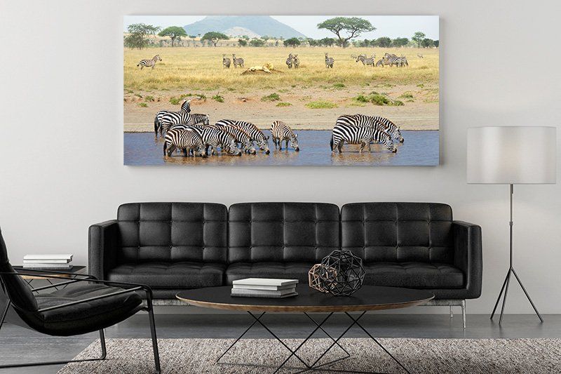 Metal Prints