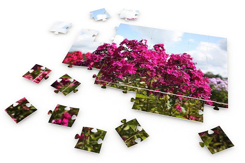 Photo Puzzles