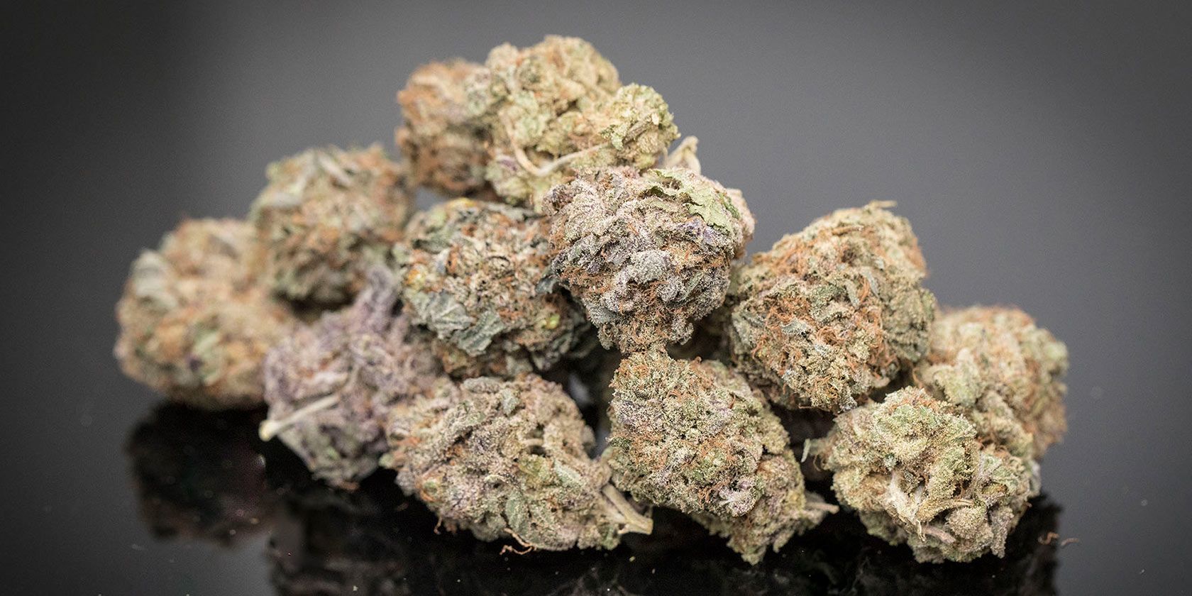 gelato weed