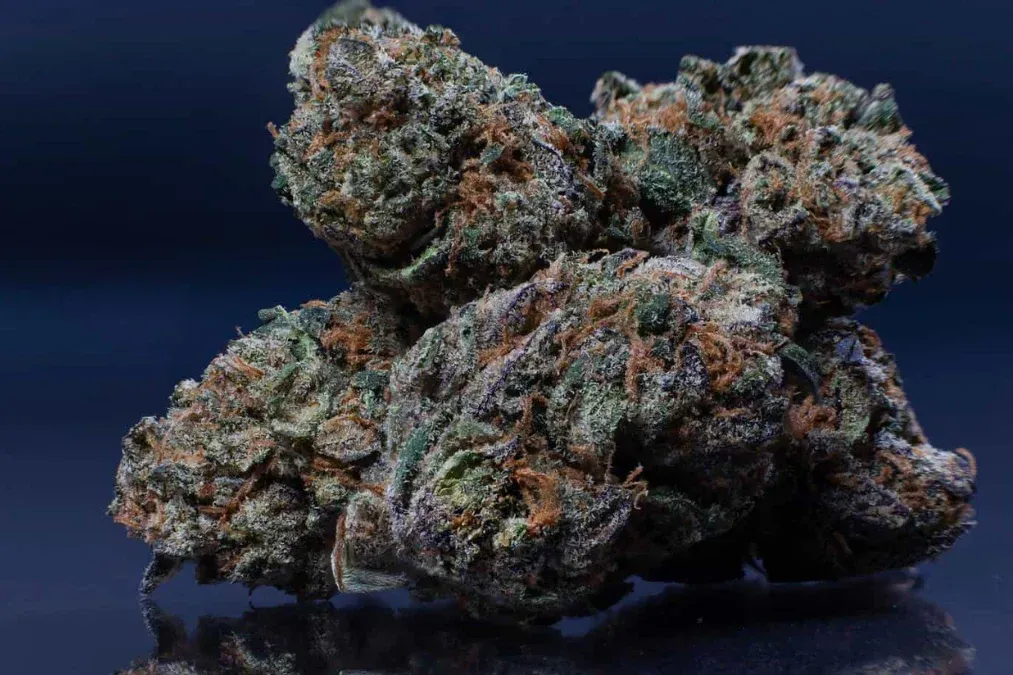 gelato weed