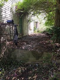 Property cleanup and debris assessment near St. Louis