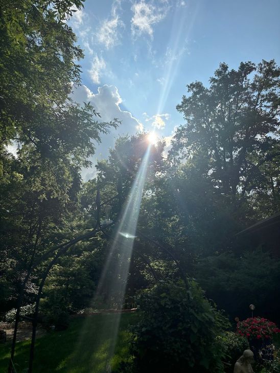 Pilates and Intuitive Energy Healing. sun is shining through the clouds through the trees