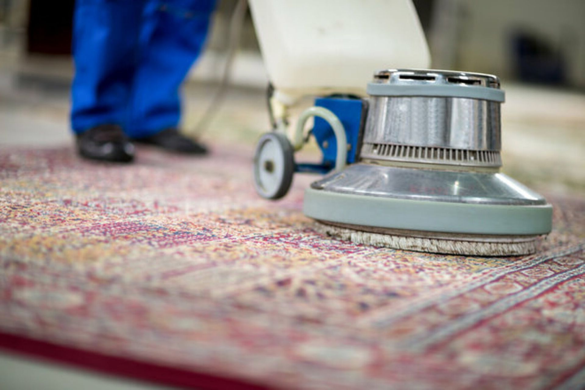 A person is cleaning a rug with a machine.
