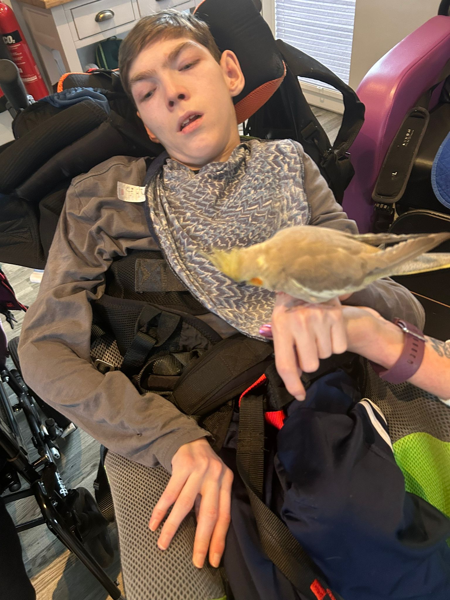 Boy in a wheelchair