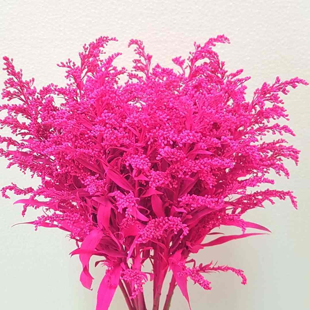a bunch of barbie pink flowers are sitting on a white surface .