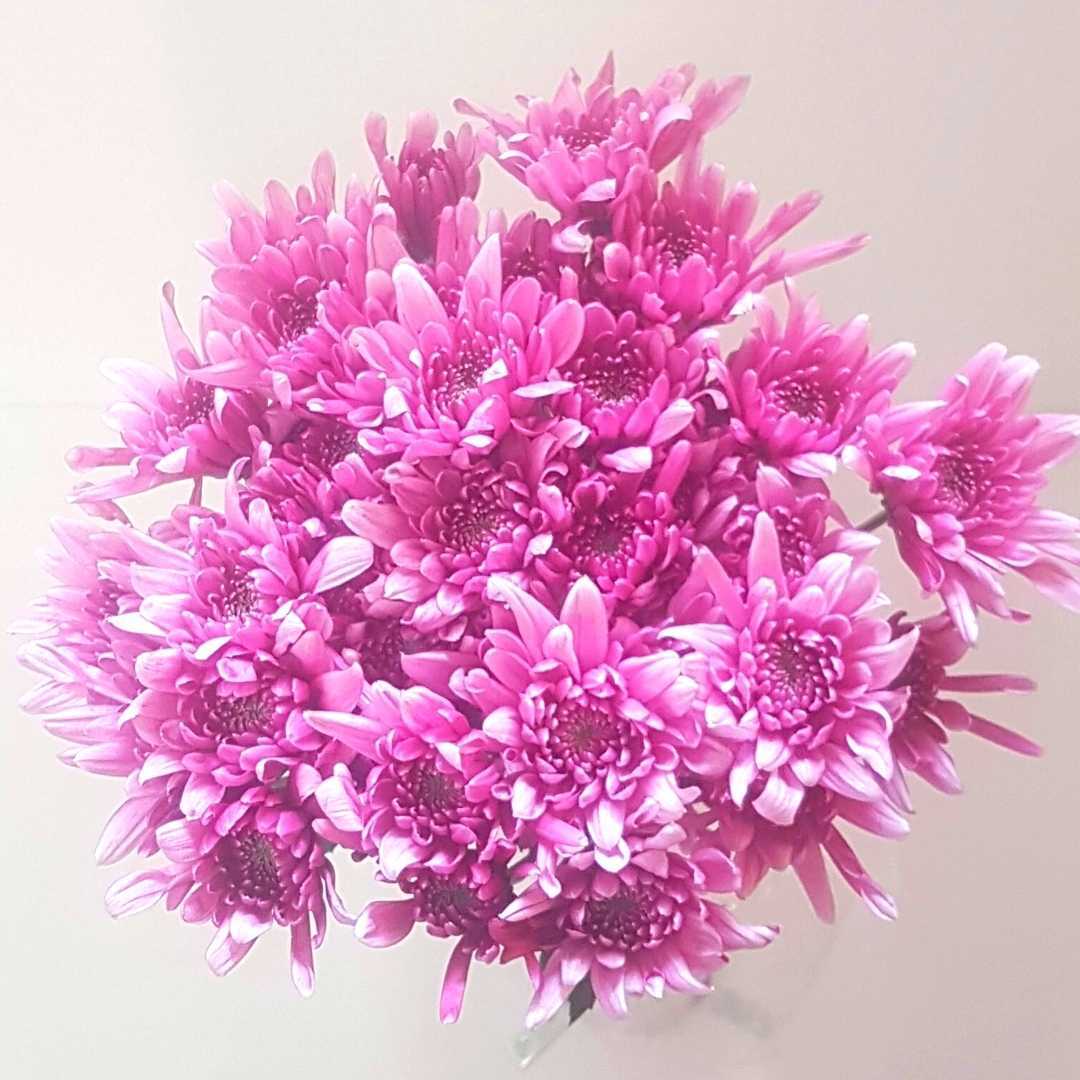 a bunch of pink flowers are sitting on a table .