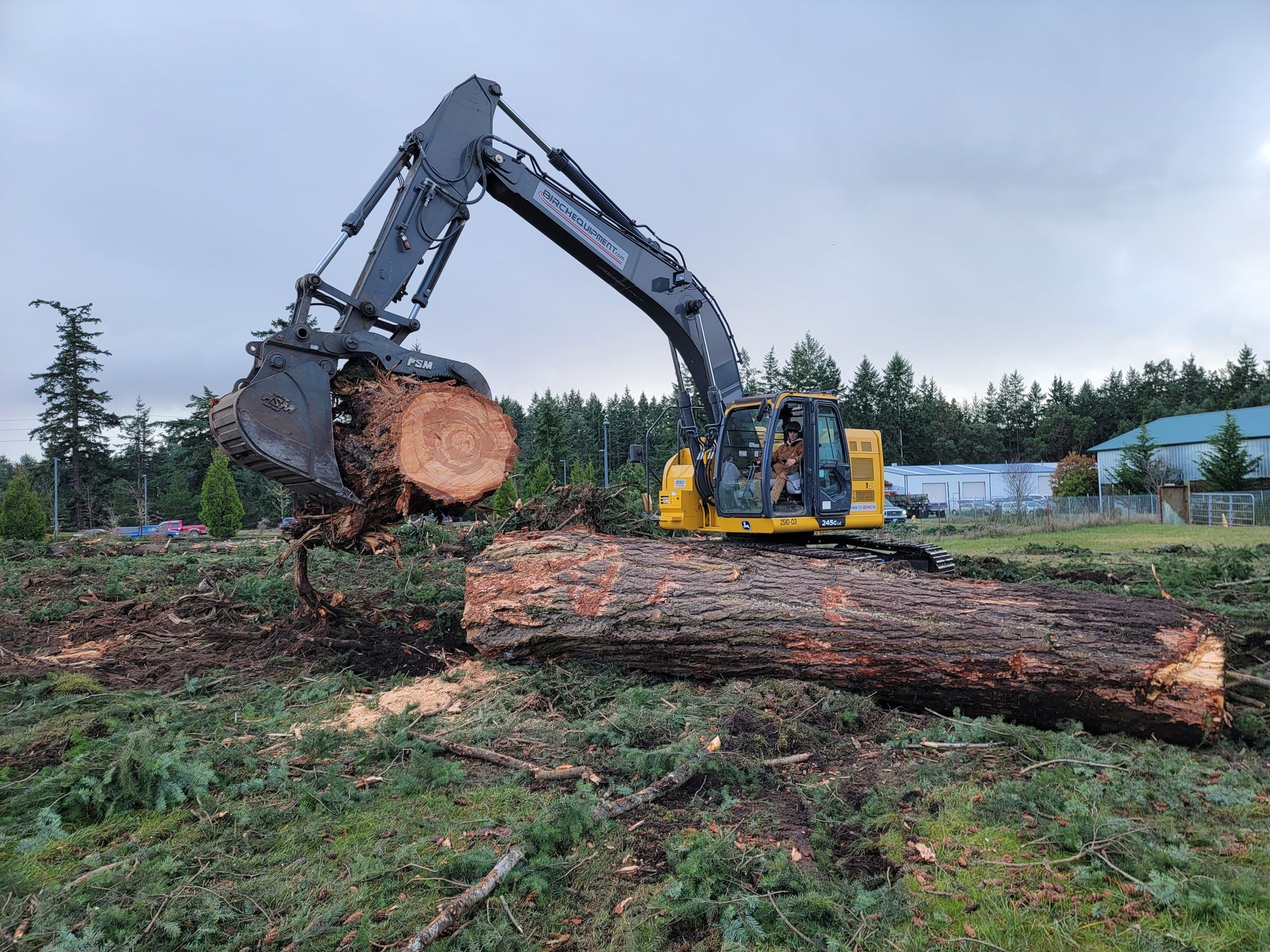 Excavator lifting a large tree log in a grassy clearing with a forested background.