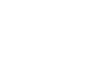 Business White Logo