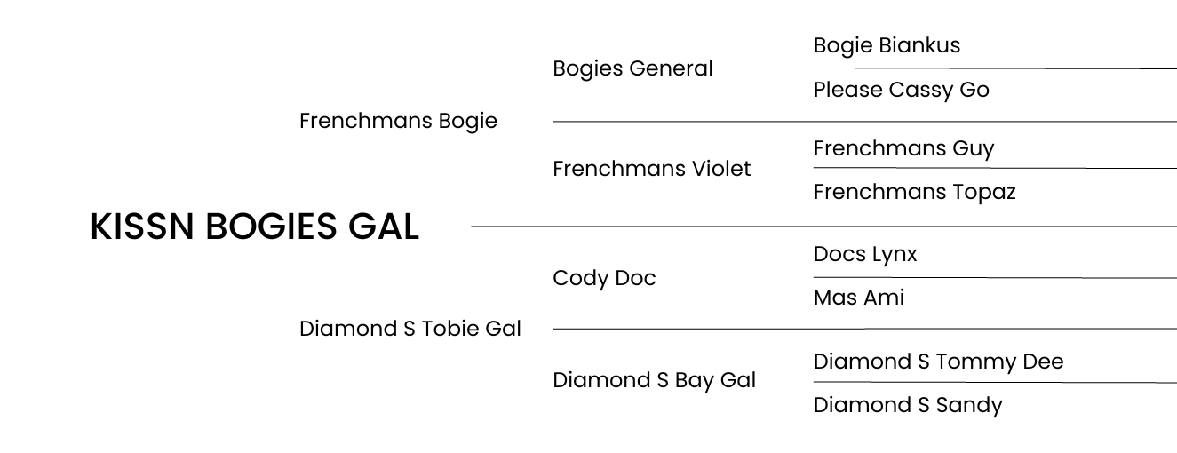 A Miss Encounter Pedigree