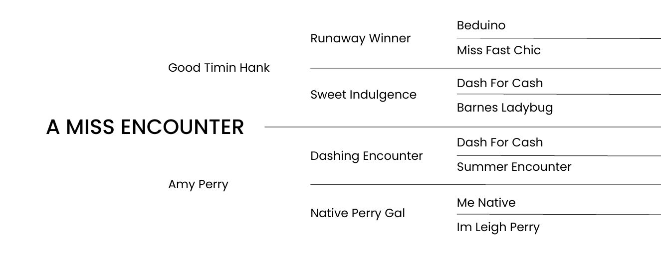 A Miss Encounter Pedigree