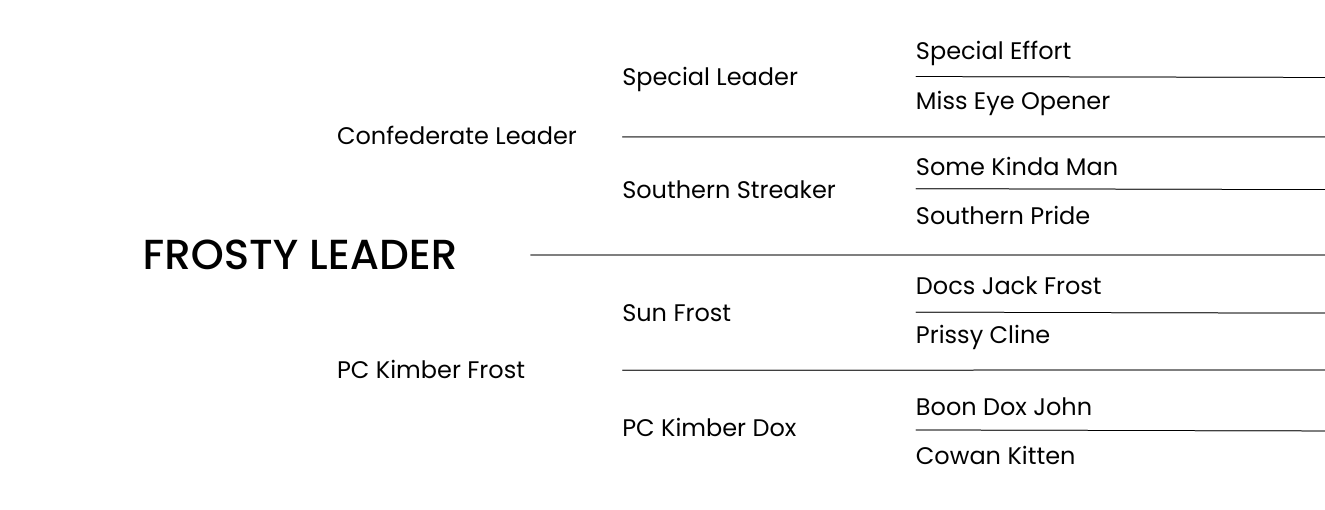 A Miss Encounter Pedigree