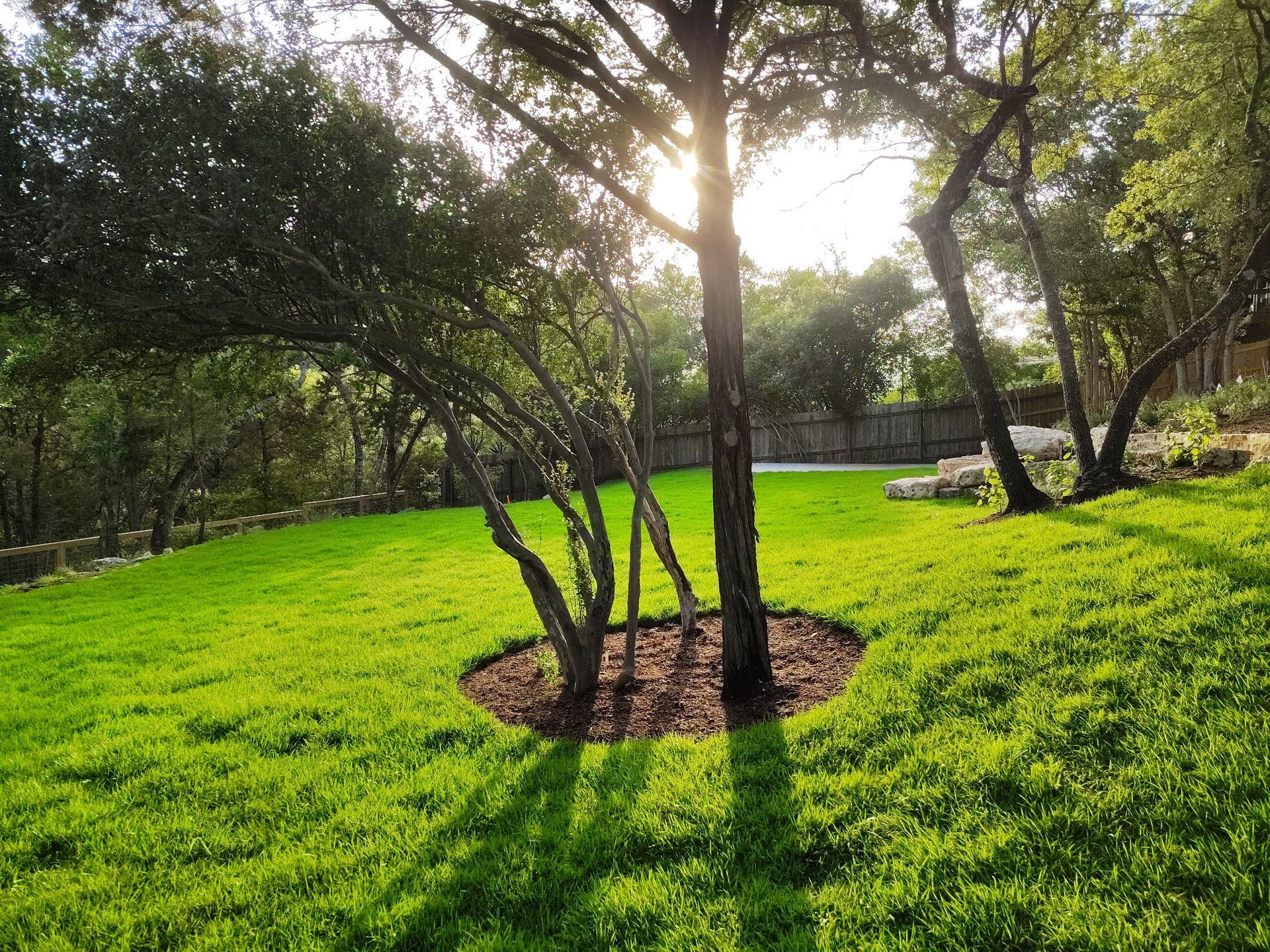 Sunlit green park with trees and long shadows over grass