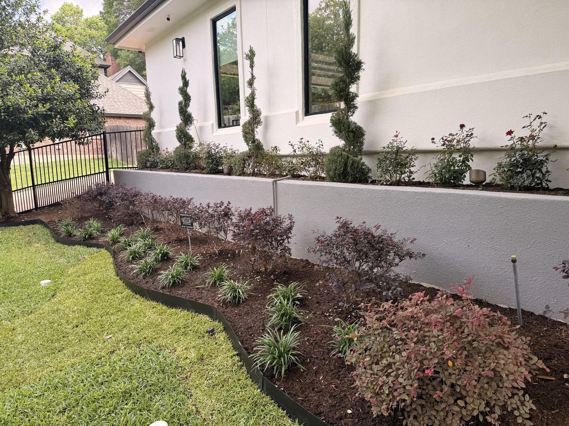 Landscaped garden bed with mulch and small shrubs beside a white house and green lawn