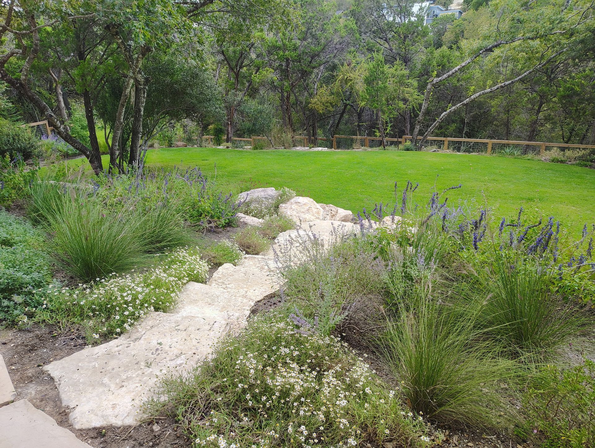 Rocky streambed winding through a green meadow with trees and shrubs in the background