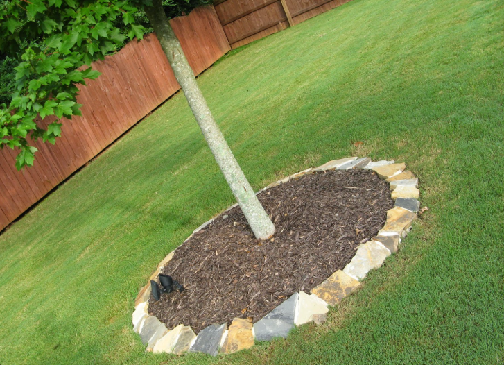 Tree trunk in mulch bed with stone border, set in a grassy yard.
