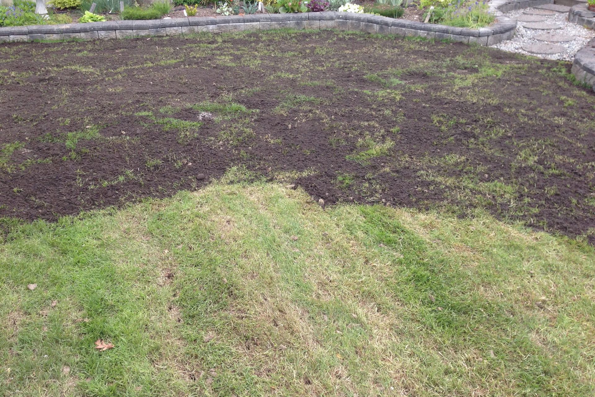 Lawn with patch of dark soil on top, blending with green grass in yard near a stone border.