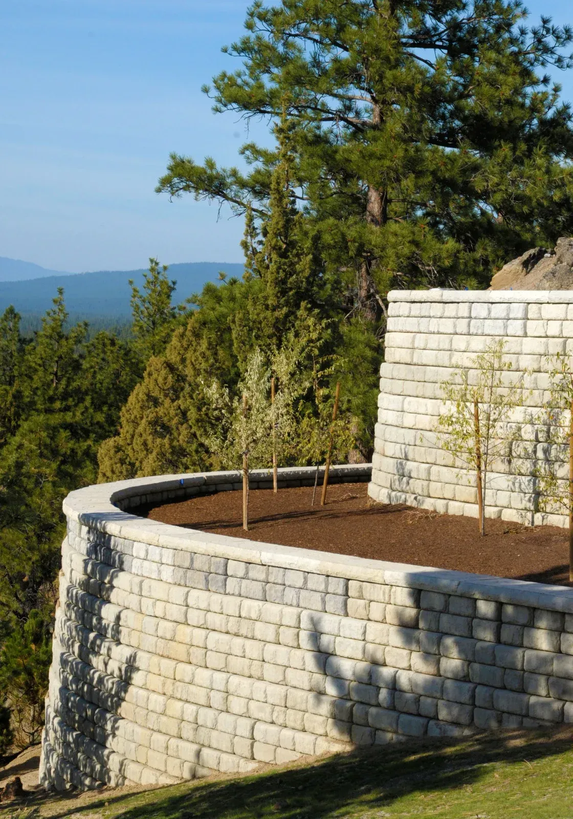 Curved stone retaining wall with young trees, overlooking a mountain vista and evergreen trees.