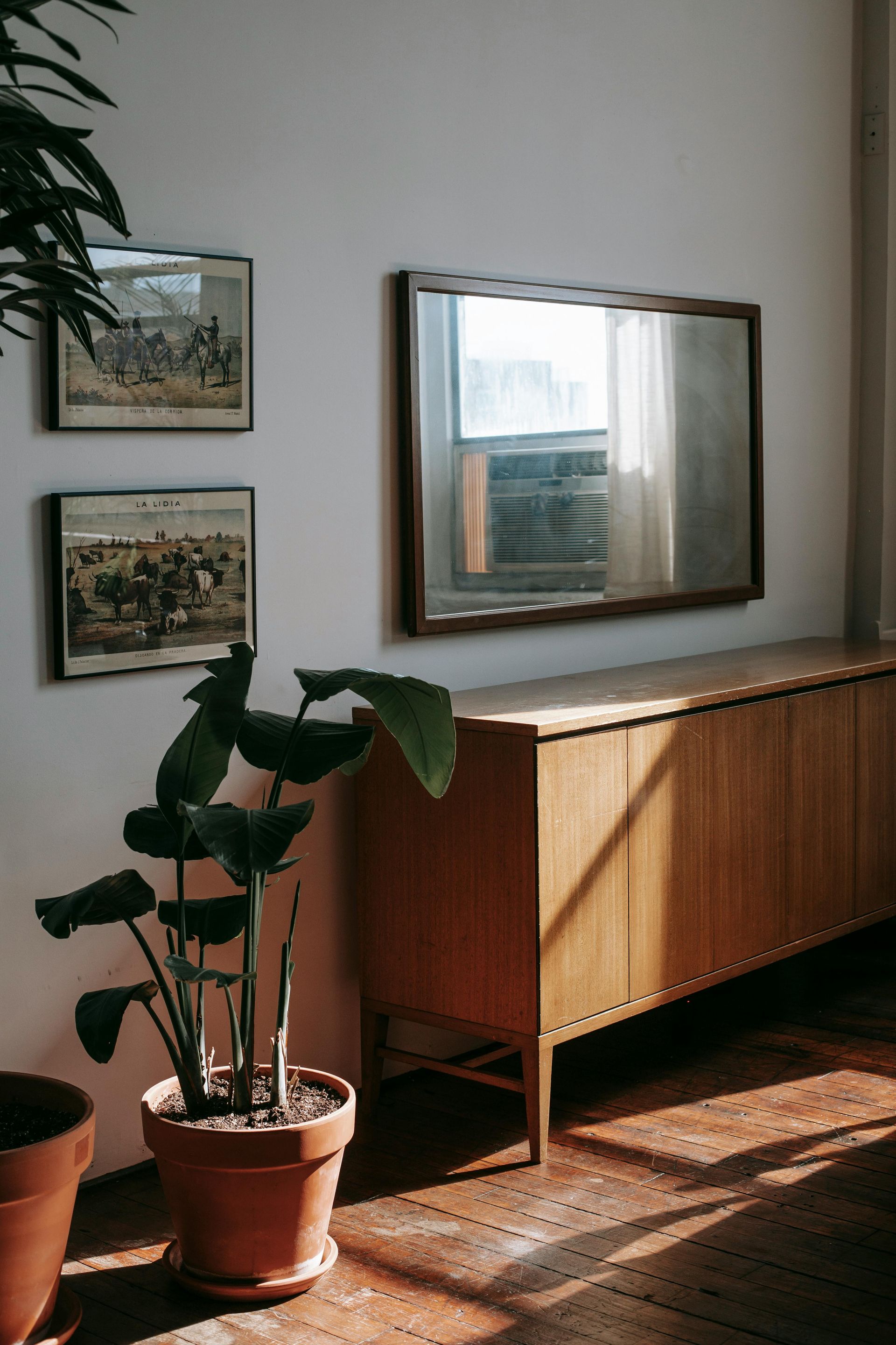 Wooden cabinet, mirror, and two framed prints on a white wall. Potted plant in terracotta pot. Sunlit room.