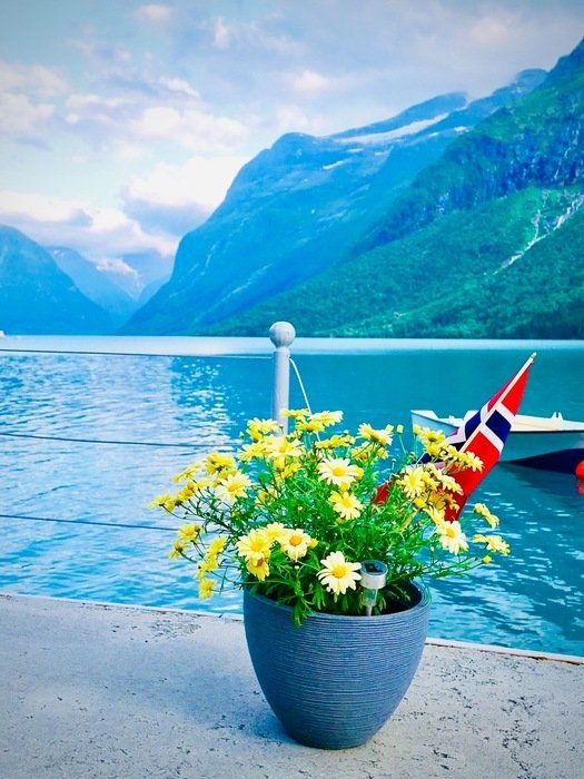 Blomsterpotte med gule og hvite blomster ved en innsjø, med et lite norsk flagg og fjell i bakgrunnen