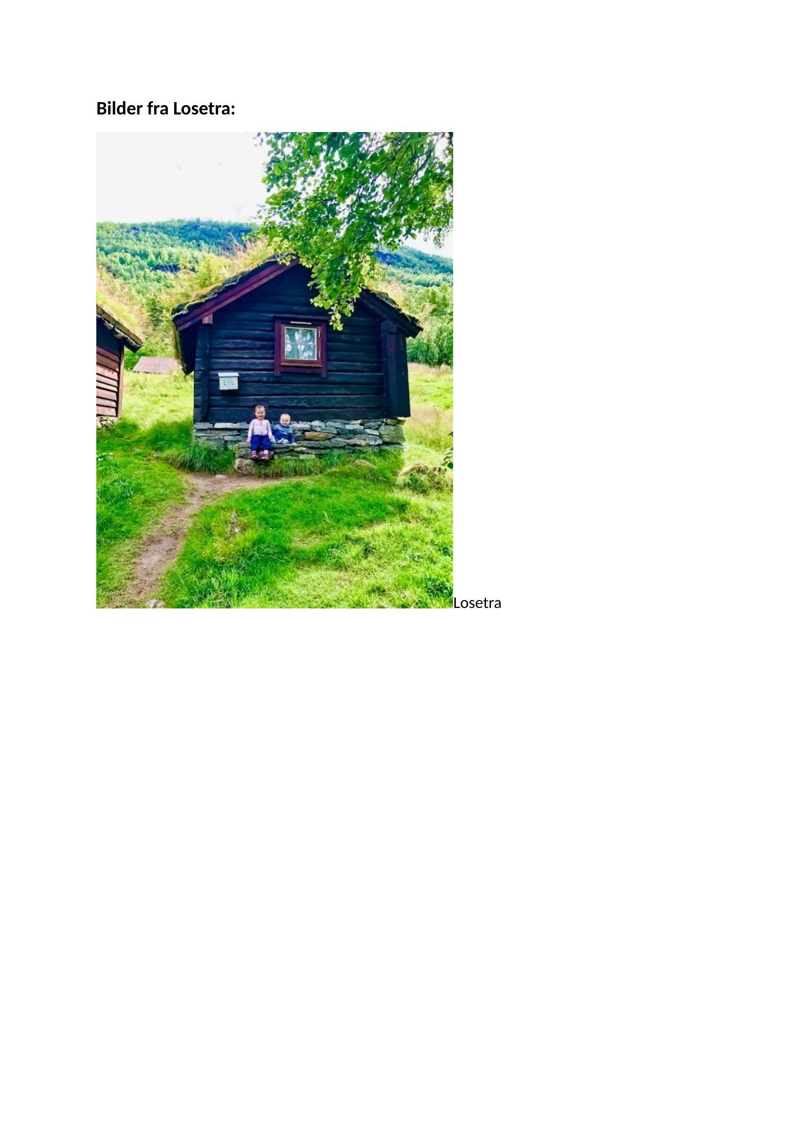 Liten mørk trehytte med grønt tak i en frodig, gresskledd åsside