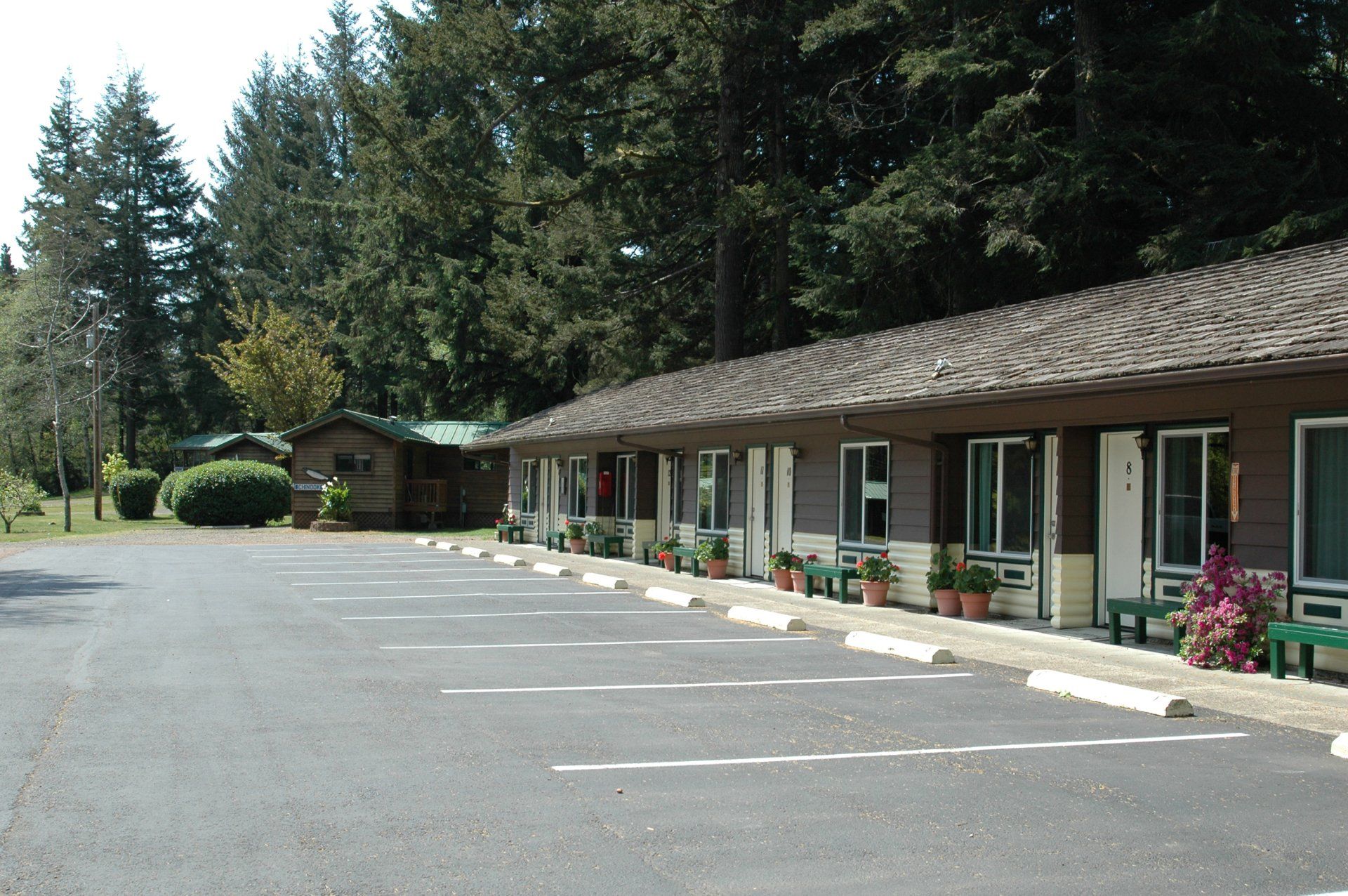 Motel-style building with empty parking lot and tall evergreen trees in the background