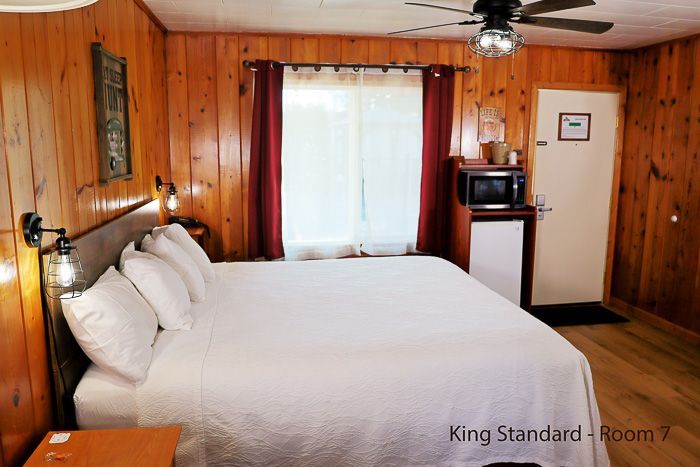 Wood-paneled bedroom with a king bed, ceiling fan, window, and small TV stand