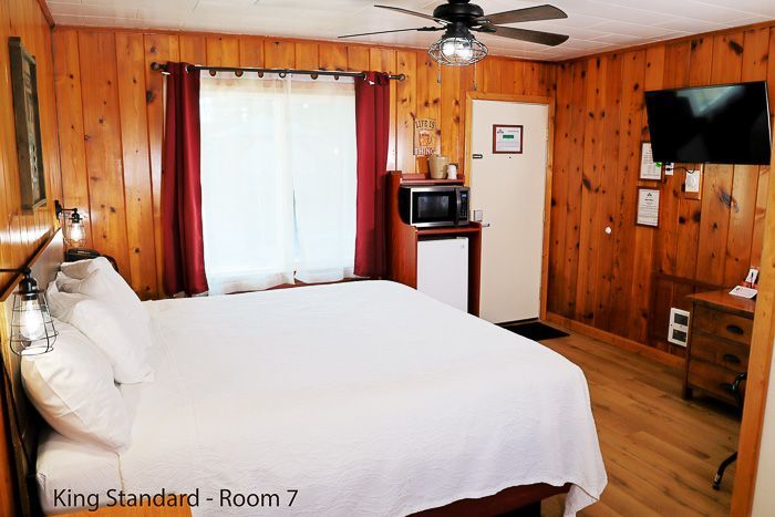 Rustic bedroom with a king bed, wood-paneled walls, window, TV, and mini fridge