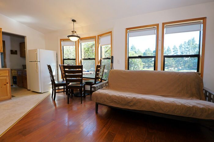 Bright living-dining room with sofa, table, and large windows overlooking trees