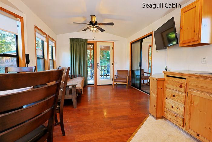 Cozy cabin living room with wood floors, TV, futon, and sliding glass doors to a deck.