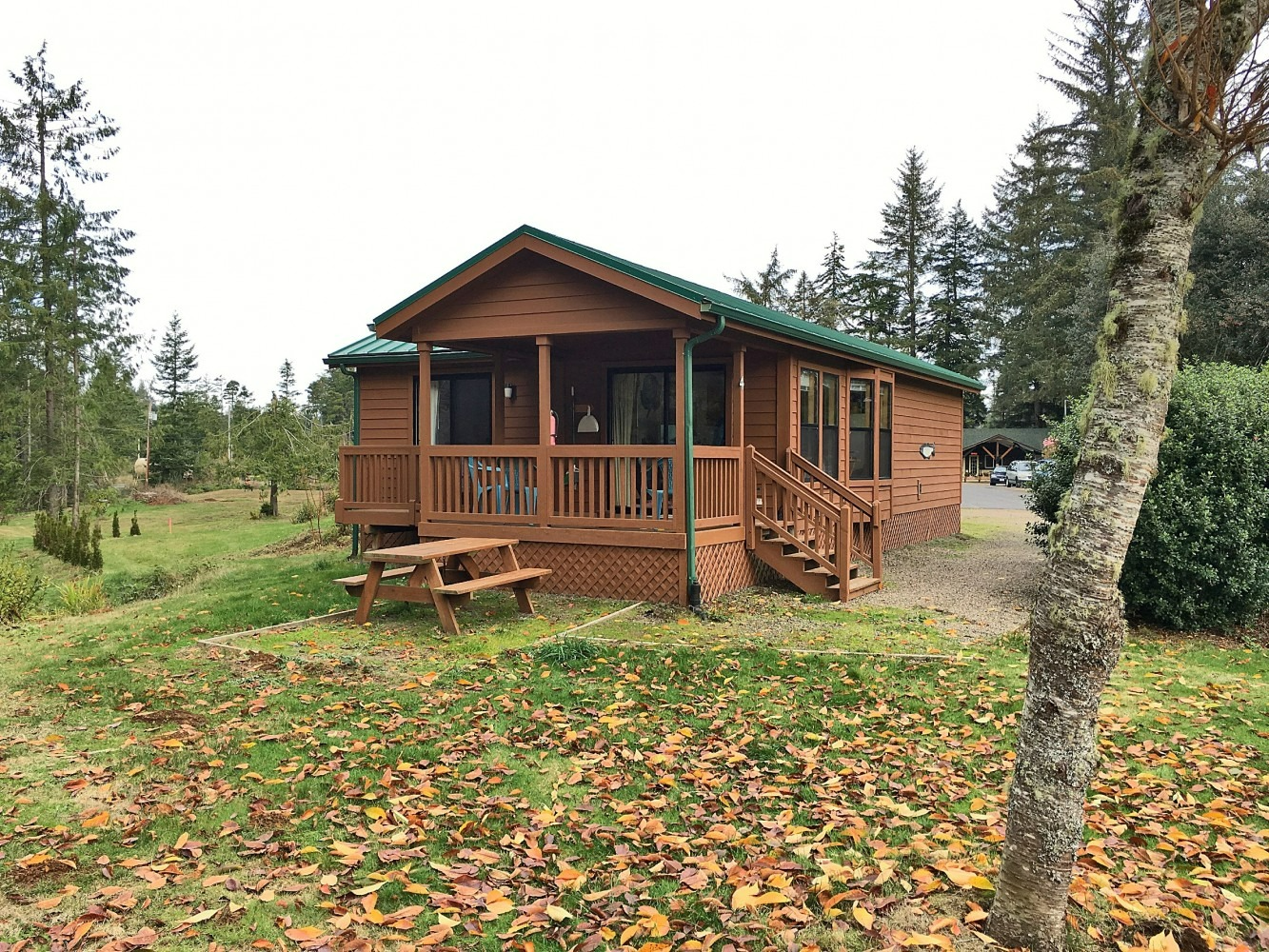Wooden cabin with a front porch in a grassy clearing, surrounded by trees and fallen autumn leaves.