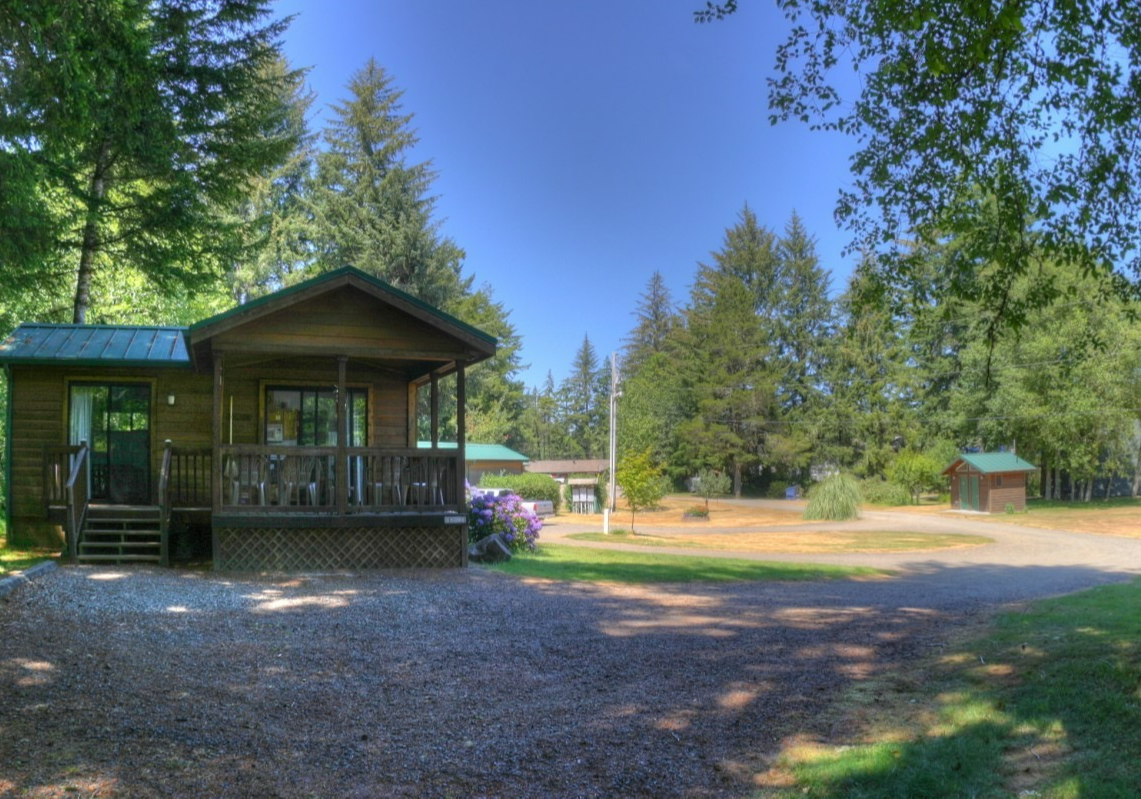 Rustic cabin in a sunny forest clearing with trees, gravel path, and blue sky