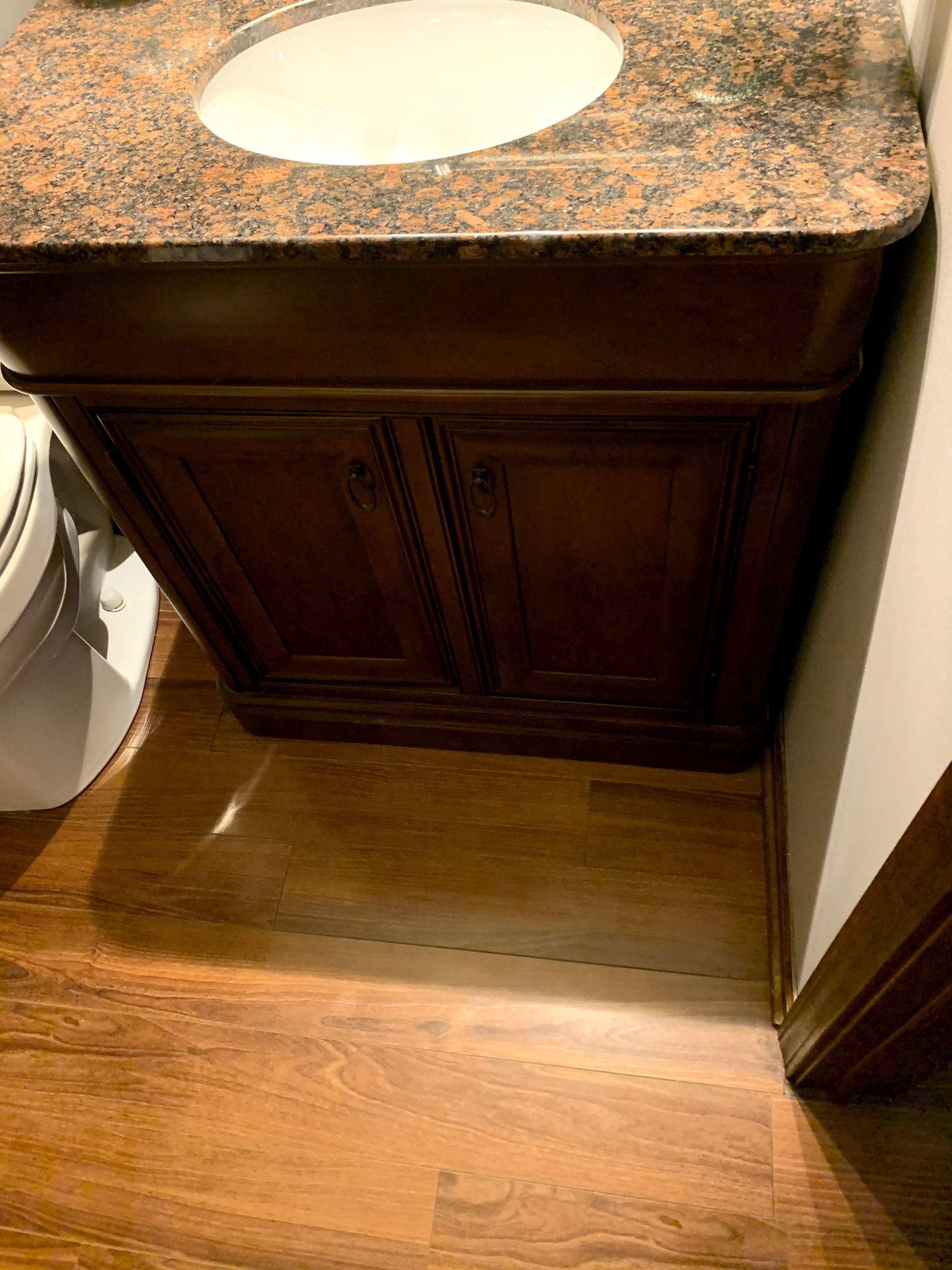 Bathroom vanity with dark wood cabinet, granite countertop, and oval sink next to a toilet and doorway
