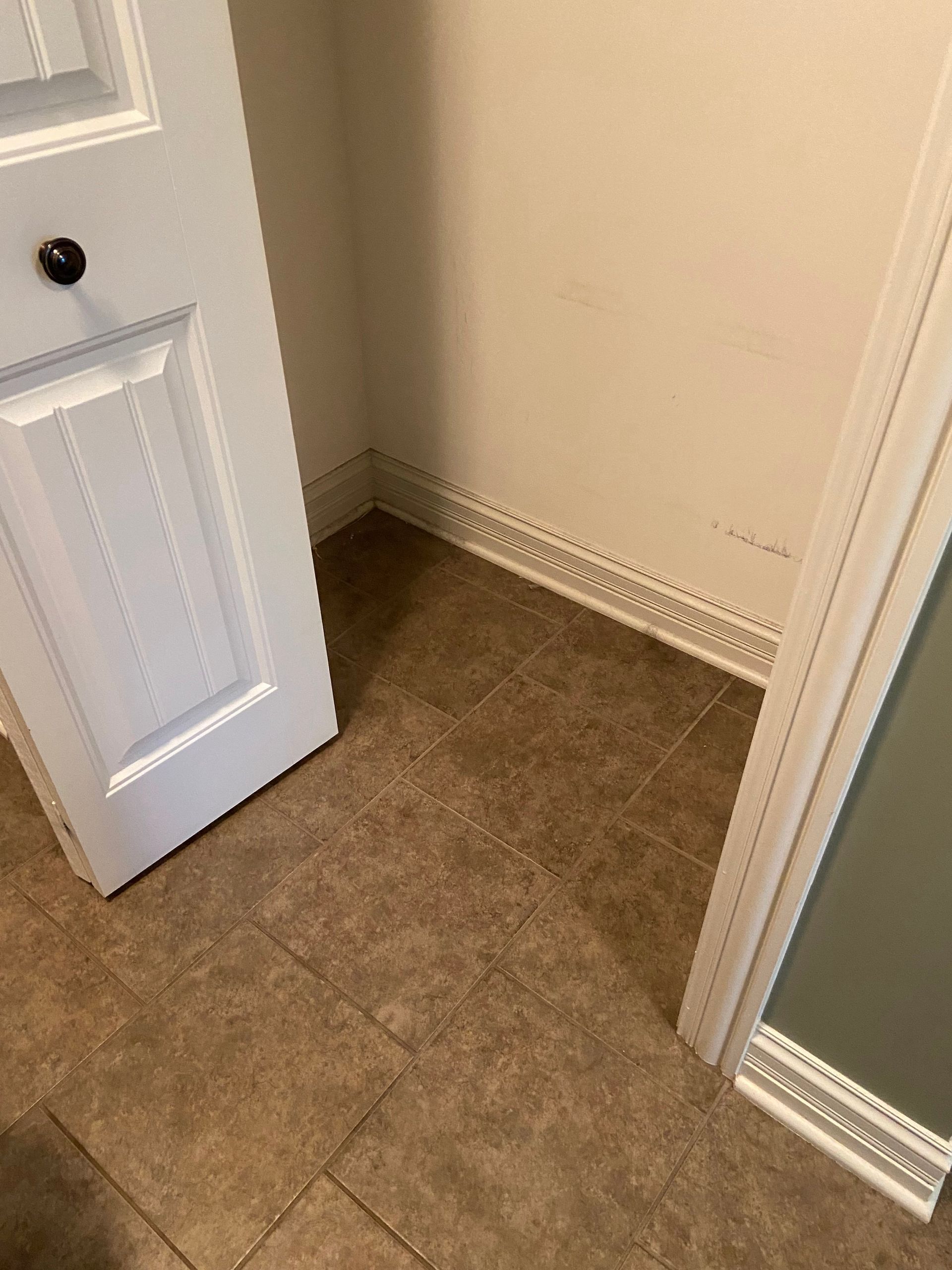 Small empty closet with beige carpet, white walls, and an open white door.