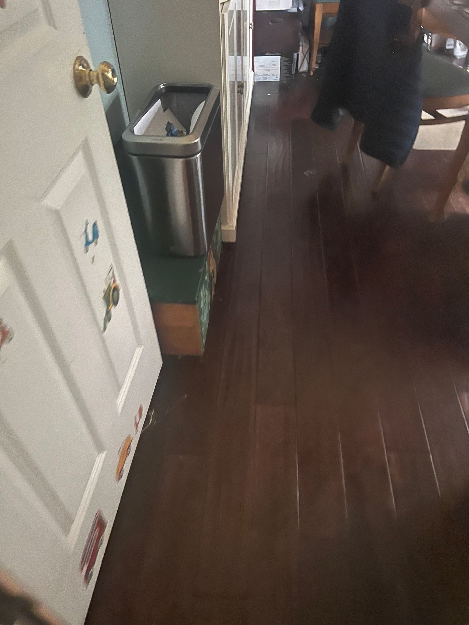 Hallway with dark wood floor, white door, trash can, and a person seated at the far right.