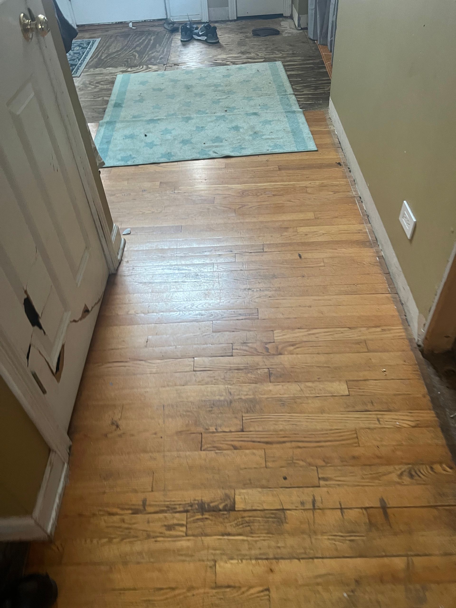 Narrow hallway with worn hardwood floor and a blue rug near the far end.