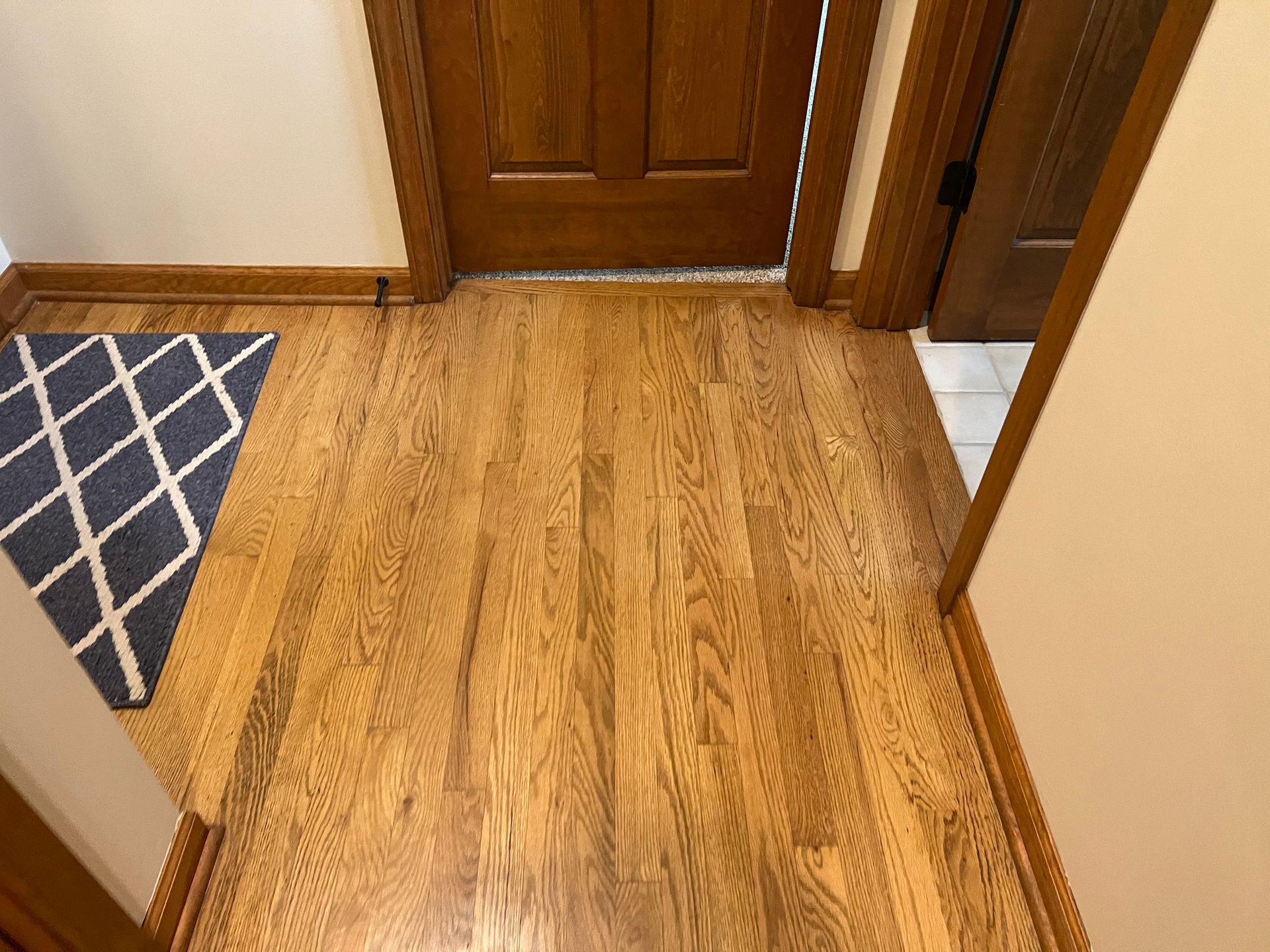 Wooden hallway floor with a brown door, beige walls, and a blue patterned rug on the left.