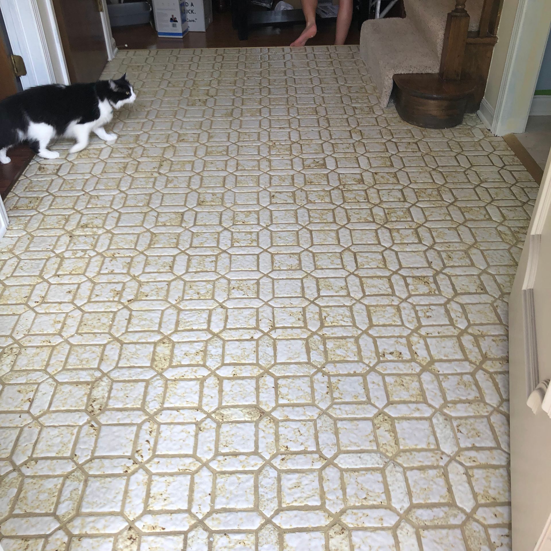 Black-and-white cat walking across a patterned kitchen floor toward the back of the room